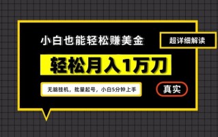 谷歌看广告撸美金2.0，无脑挂机，多号操作，月入1万刀【揭秘】