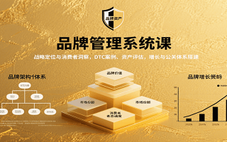 品牌管理系统课：战略定位与消费者洞察，DTC案例、资产评估，增长与公关体系搭建