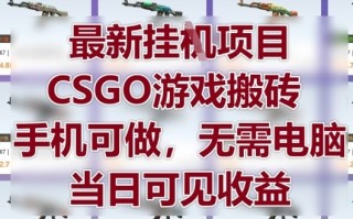 最新挂G项目，CSGO游戏搬砖，手机可做，无需电脑，当日见收益【揭秘】