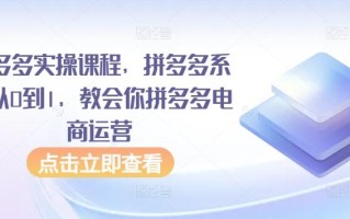 拼多多实操课程，拼多多系统从0到1，教会你拼多多电商运营