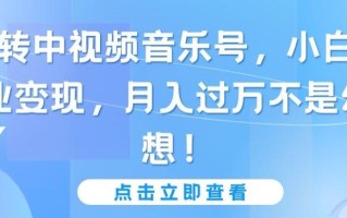 玩转中视频音乐号，小白副业变现，月入过万不是幻想【揭秘】