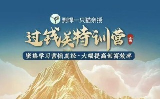 剽悍一只猫-过钱关特训营，学习营销真经 大幅度提高创富效率
