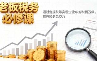 老板税务必修课，通过合规税筹实现企业年省税百万级，提升税务免疫力