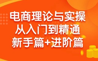 (9576期)电商理论与实操从入门到精通 新手篇+进阶篇