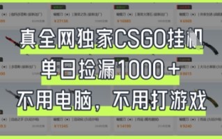 真全网独家CSGO挂G，单日捡漏1k+【揭秘】