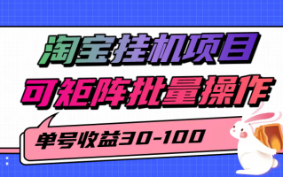 揭秘2025最新淘宝挂机项目，单号30-100，可矩阵批量操作(附工具)