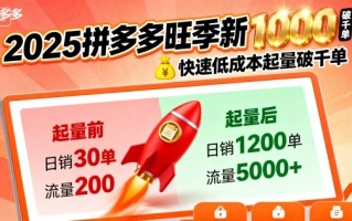 2025拼多多旺季新老店铺——快速低成本起量破千单