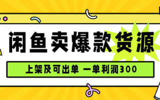 闲鱼卖爆款货源，每天利润1000，上架即出单