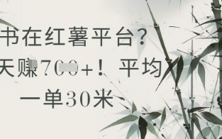 抄书在小红薯平台？平均一单30米，一天收益几张！