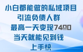 2025年小白都能做的私域项目引流负债人群最高一天变现1k+高变现难度低当天就能见到钱上手快