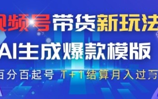 视频号带货新玩法，AI生成，百分百原创爆款模版，百分百起号，高佣商品T+1结算月入过W【揭秘】