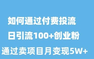 如何通过付费投流日引流100+创业粉月变现5W+