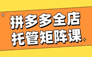 拼多多全店托管矩阵课，盈利动销玩法，高效计划设置，提升店铺效益