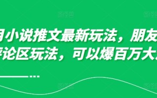 10月小说推文最新玩法，朋友圈图文评论区玩法，可以爆百万大流量