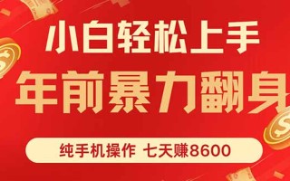 七天狂赚8600，小白纯手机操作，日入1000+