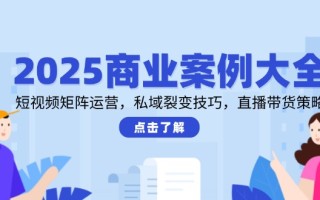 2025商业案例大全，短视频矩阵运营，私域裂变技巧，直播带货策略