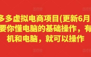 拼多多虚拟电商项目(更新6月)，只要你懂电脑的基础操作，有手机和电脑，就可以操作