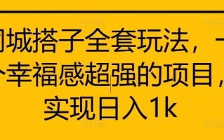 同城搭子全套玩法，一个幸福感超强的项目，实现日入1k【揭秘】
