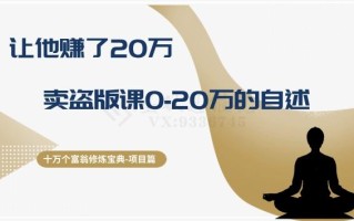十万个富翁修炼宝典之9.让他赚了20万，卖盗版课0-20万的自述