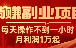 躺赚副业项目，每天操作不到一小时，月利润1万起，实战篇