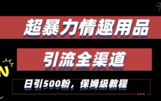 最新情趣项目引流全渠道，自带高流量，保姆级教程，轻松破百单，日引500+粉【揭秘】