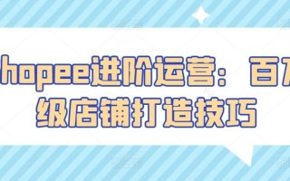 Shopee进阶运营：百万级店铺打造技巧