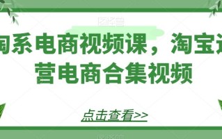 淘系电商视频课，淘宝运营电商合集视频