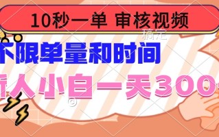 10秒一单，审核视频 ，不限单量时间，新人小白一天300+