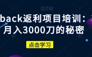 cashback返利项目培训：轻松月入3000刀的秘密