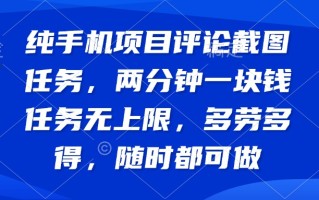 纯手机项目评论截图任务，两分钟一块钱 任务无上限多劳多得，随时随地…