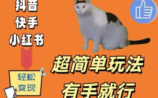 超简单玩法，有手就行，靠猫咪视频日入500+【揭秘】