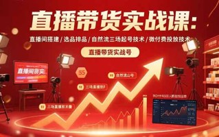 直播带货实战课：直播间搭建/选品排品/自然流三场起号技术/微付费投放技术