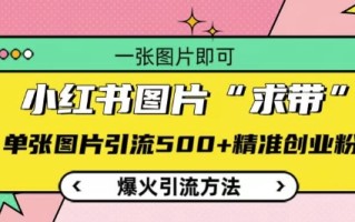 小红书图片‘求带’爆火引流法，单张图片引流500+精准创业粉【揭秘】