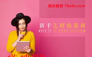 新手怎样做微商（2集） mp4高清无水印视频教程网盘免费下载