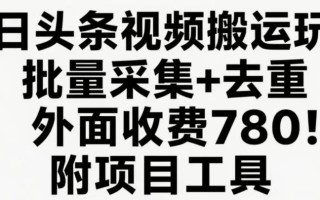今日头条视频搬运玩法，软件一键去重，轻松日入500+附项目工具