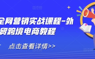 外贸全网营销实战课程-外贸跨境电商教程