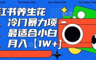 小红书养生花茶，冷门暴力项目，最适合小白做，月入【1W+】