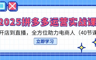 2025拼多多运营实战课，从开店到直播，全方位助力电商人(40节课