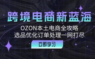 跨境电商新蓝海：OZON本土电商全攻略，选品优化订单处理一网打尽
