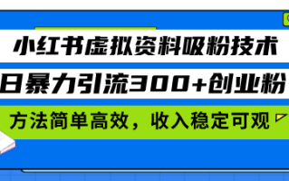 小红书虚拟资料吸粉技术，日暴力引流300+创业粉，方法简单高效，收入稳…