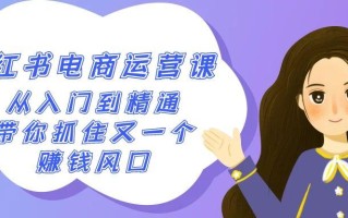 2024小红书电商运营课，从入门到精通，带你抓住又一个赚钱风口(50节课)