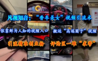 凡视知音：“香车美女”视频引流术，依靠鲜为人知的视频入口，搬运“高端圈子”视频，引流精准创业粉，评论区一堆“求带”