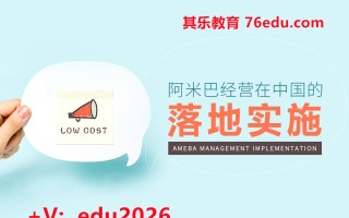 阿米巴经营在中国的落地实施（2集） mp4高清无水印视频教程网盘免费下载