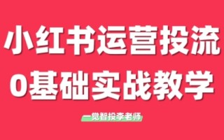 李老师·小红书运营投流，0基础实战教学(更新)