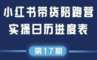 盗坤·抖音小红书视频号短视频带货与直播变现(11-17期)