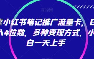 靠小红书笔记推广流量卡，日入4位数，多种变现方式，小白一天上手
