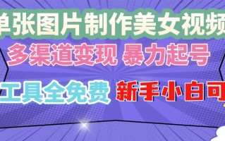 单张图片作美女视频 ，多渠道变现 暴力起号，所有工具全免费 ，新手小…