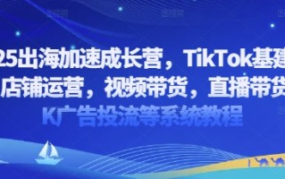 2025出海加速成长营，TikTok基建选品，店铺运营，视频带货，直播带货，TK广告投流等系统教程
