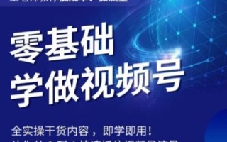 王老师教你低成本、做流量，零基础学做视频号，0-1快速抓住视频号流量