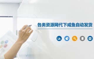 各类资源网代下咸鱼自动发货